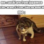 Buffering cat | me : sushi are from japanese; teacher : wrong. it's from china you dumb idiot; me : | image tagged in buffering cat | made w/ Imgflip meme maker