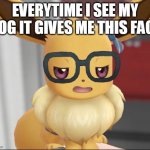 MY DOG IS AN EEVEE!! | EVERYTIME I SEE MY DOG IT GIVES ME THIS FACE | image tagged in unimpressed eevee | made w/ Imgflip meme maker