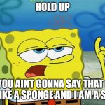 idk | HOLD UP; YOU AINT GONNA SAY THAT I LOOK LIKE A SPONGE AND I AM A SPONGE | image tagged in fnaf meme | made w/ Imgflip meme maker