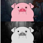 Blank pig sadness meme