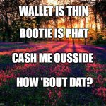 roses are red | WALLET IS THIN; BOOTIE IS PHAT; CASH ME OUSSIDE; HOW 'BOUT DAT? | image tagged in roses are red,cash me ousside how bow dah,cash me ousside,cash me outside,poetry | made w/ Imgflip meme maker