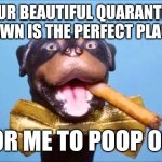 All for nought | YOUR BEAUTIFUL QUARANTINE LAWN IS THE PERFECT PLACE; FOR ME TO POOP ON! | image tagged in triumph comic to poop on,quarantine,lawn,covid | made w/ Imgflip meme maker