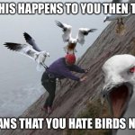 Angry birds | IF THIS HAPPENS TO YOU THEN THIS; MEANS THAT YOU HATE BIRDS NOW | image tagged in seagulls,attacking birds | made w/ Imgflip meme maker