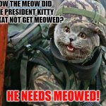 Army Cat | HOW THE MEOW DID THE PRESIDENT KITTY J. KITKAT NOT GET MEOWED? HE NEEDS MEOWED! | image tagged in army cat | made w/ Imgflip meme maker