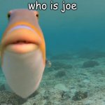 who be joe tho | who is joe | image tagged in do you fart | made w/ Imgflip meme maker