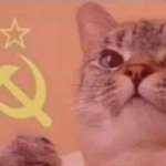 Communist cat meme