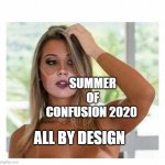 the new sexy | SUMMER OF CONFUSION 2020; ALL BY DESIGN | image tagged in the new sexy | made w/ Imgflip meme maker