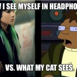 How I see myself in headphones vs. what the cat sees.