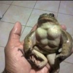 Buff Frog