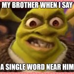 Angry Shrek | MY BROTHER WHEN I SAY; A SINGLE WORD NEAR HIM | image tagged in angry shrek | made w/ Imgflip meme maker