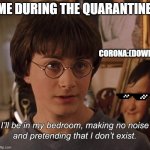 Too true | ME DURING THE QUARANTINE:; CORONA:(DOWN) | image tagged in harry potter | made w/ Imgflip meme maker