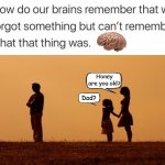 Funny Brain Memory meme