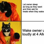 Kitty Drake meme | Let owner sleep as long as they want and then ask for treats when they wake up; Wake owner up loudly at 4 AM | image tagged in kitty drake,cat,cat meme | made w/ Imgflip meme maker