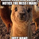 happy alpaca | ME WHEN MY MOM COMES HOME AND DOESN'T NOTICE THE MESS I MADE; JUST HANG IN THERE | image tagged in happy alpaca | made w/ Imgflip meme maker
