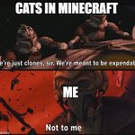 Not to me | CATS IN MINECRAFT; ME | image tagged in not to me | made w/ Imgflip meme maker