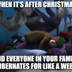 Thomas | WHEN IT’S AFTER CHRISTMAS; AND EVERYONE IN YOUR FAMILY HIBERNATES FOR LIKE A WEEK | image tagged in thomas | made w/ Imgflip meme maker