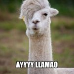 Emo Llama | AYYYY LLAMAO | image tagged in emo llama | made w/ Imgflip meme maker