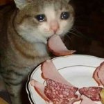 dias de luta, dias de derrota