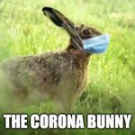 Corona Bunny | THE CORONA BUNNY | image tagged in corona bunny | made w/ Imgflip meme maker