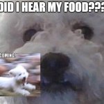 ALFIE | DID I HEAR MY FOOD??? | image tagged in alfie | made w/ Imgflip meme maker