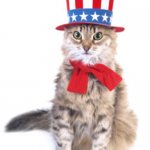 Sorry I’m late... | HAPPY MEME-ORIAL; DAY! | image tagged in 4th of july cat | made w/ Imgflip meme maker