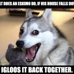 Eskimo humor | WHAT DOES AN ESKIMO DO, IF HIS HOUSE FALLS DOWN? IGLOOS IT BACK TOGETHER. | image tagged in pun dog - husky | made w/ Imgflip meme maker