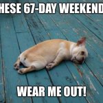 On to day 68... then 69... then 70... then... | THESE 67-DAY WEEKENDS; WEAR ME OUT! | image tagged in tired dog,long weekend,coronavirus,lockdown | made w/ Imgflip meme maker