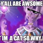 Beerus is cat y'all know him? | Y'ALL ARE AWSOME; BUT IM  A CAT SO WHY NOT | image tagged in lord beerus disaproves | made w/ Imgflip meme maker