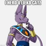 beerus herd u leiking catz | I HERD U LIEKD CATZ | image tagged in lord bills,beerus | made w/ Imgflip meme maker