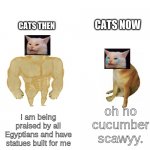 oh no cucumber scawwy | CATS THEN; CATS NOW; I am being praised by all Egyptians and have statues built for me; oh no cucumber scawyy. | image tagged in buff doge vs crying doge | made w/ Imgflip meme maker
