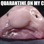 Me in quarantine | ME IN QUARANTINE ON MY COUCH | image tagged in blobfish | made w/ Imgflip meme maker