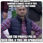 Dissatisfied Pak Fan | WHEN YOU LOOK AT SOMEONE'S PROFILE TO SEE IF THEY LOOK AS CRAZY AS THEY SOUND; AND THE PROFILE PIC IS THEIR DOG, A TREE, OR SPONGEBOB | image tagged in dissatisfied pak fan | made w/ Imgflip meme maker