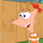 Yes Phineas