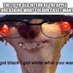 I got black I got white what ya want | THE 20 YR OLD INTERN AT THE APPLE STORE ASKING WHAT COLOUR CASE I WANT. | image tagged in i got black i got white what ya want,ice age,ice age baby,sid the sloth,oof size large | made w/ Imgflip meme maker