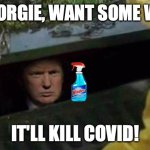 Trump Windex meme | HEY GEORGIE, WANT SOME WINDEX; IT'LL KILL COVID! | image tagged in trump pennywise,trump,donald trump,pennywise,windex | made w/ Imgflip meme maker