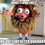 Quarantine Tweeker | WHAT I LOOK LIKE; GOING OUTSIDE AFTER QUARANTINE | image tagged in honey comb crack addict,quarantine,crazy eyes,honey | made w/ Imgflip meme maker