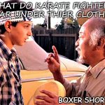 Daily Bad Dad Joke May 27 2020 | WHAT DO KARATE FIGHTERS WEAR UNDER THIER CLOTHES? BOXER SHORTS. | image tagged in karate kid | made w/ Imgflip meme maker