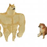 Big dog small dog meme