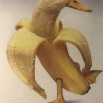 banana duck meme