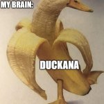 banana duck | TEACHER: WHAT ARE YOU LAUGHING ABOUT; ME: NOTHING; MY BRAIN:; DUCKANA | image tagged in banana duck | made w/ Imgflip meme maker