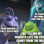 that's when it all went wrong | MY PARENTS WATCHING ME POOP PINK DIARRHEA; MY OLDER BROTHER TELLING ME IT TASTES GREAT; ME  TELLING MY PARENTS I ATE THE COTTON CANDY FROM THE WALLS | image tagged in monsters inc | made w/ Imgflip meme maker