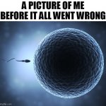 i'm a dissapointment | A PICTURE OF ME BEFORE IT ALL WENT WRONG | image tagged in sperm and egg | made w/ Imgflip meme maker