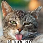 Bleh | THIS BOTTOM TEXT; IS  VERY TASTY | image tagged in bleh | made w/ Imgflip meme maker