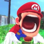 Mario screaming meme