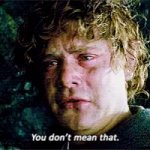 Samwise you don't mean that