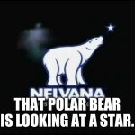 Nelvana Polar Bear | THAT POLAR BEAR IS LOOKING AT A STAR. | image tagged in nelvana polar bear | made w/ Imgflip meme maker