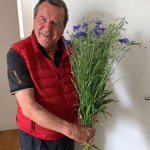 Gerhard Schröder meme