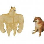 doge then and now meme