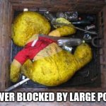 Sewer Blockage | SEWER BLOCKED BY LARGE POOH | image tagged in sewer blockage | made w/ Imgflip meme maker