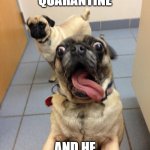 OMG | WHEN IT'S QUARANTINE; AND HE CAN GO OUTSIDE | image tagged in pug love | made w/ Imgflip meme maker